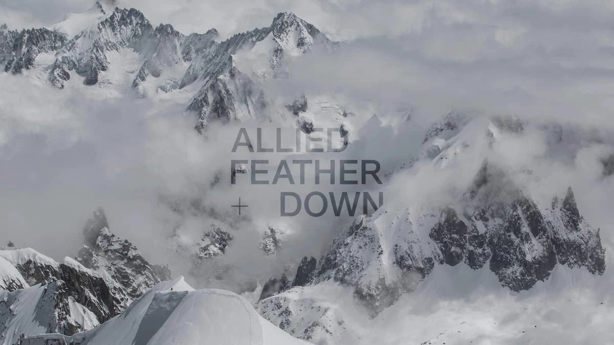 Allied Feather + Down – A F + D