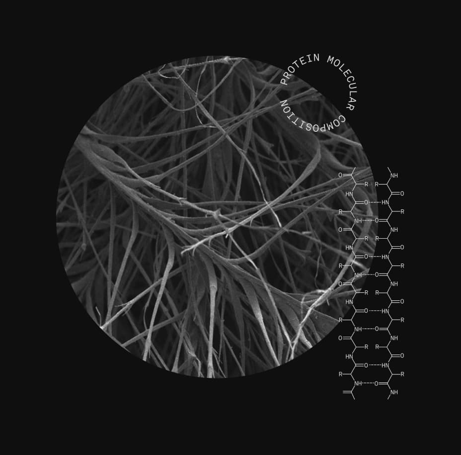 GGD-800-crl-elect_MACRO-OF-DOWN-FIBERS