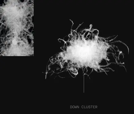down cluster