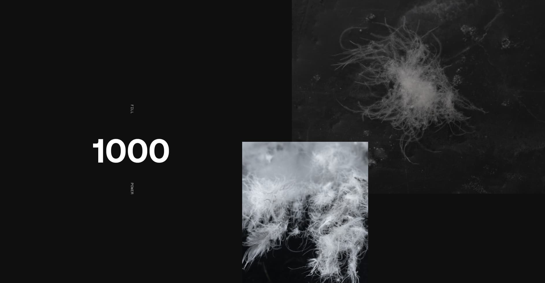 ALLIED 1000 Fill Power